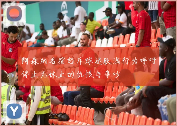 阿森纳名宿怒斥球迷肤浅行为呼吁停止无休止的仇恨与争吵