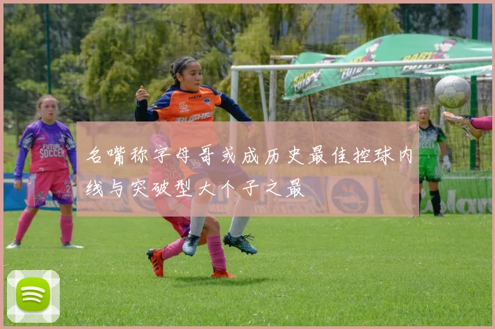 名嘴称字母哥或成历史最佳控球内线与突破型大个子之最